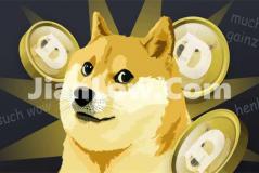 买doge币到哪个平台(比特币app推荐及安全性分析)