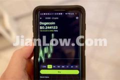 qq买了狗狗币怎么查(虚拟币交易客户端的充提速度)