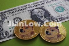 doge币买回来怎么存(虚拟币交易所app随时应对行情)
