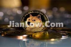 中国怎么用美元买doge币(虚拟币交易软件安全指南)