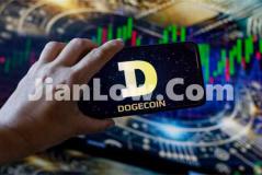 doge币怎么在官网上买(快捷虚拟币交易软件)