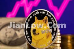 买doge币有哪些平台靠谱(数字资产交易软件评价)