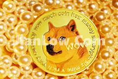 doge币硬件钱包在哪购买(比特币交易所精选)