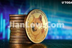 doge币合约基金怎么买(实用的比特币客户端)