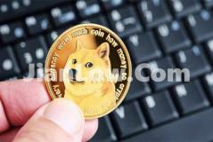 doge币哪个平台买(智能化虚拟币交易客户端)