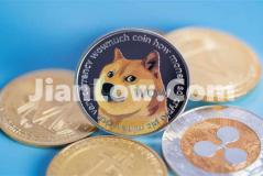 doge币怎么看买入量(交易所app使用攻略指南)