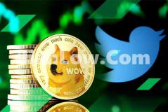 doge币图怎么看买卖点(加密货币交易所评价汇总)