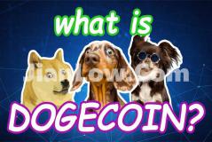 doge币在哪些平台可以买(便捷的交易app推荐)