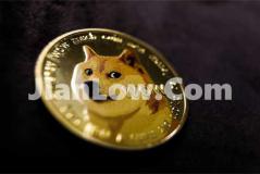 doge币通过什么软件购买(数字货币交易平台操作)