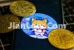 doge币怎么炒在哪买(交易平台软件功能比较)