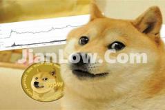 doge币怎么购(高品质的比特币软件服务)