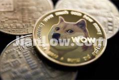 doge币怎么购买交易系统(便捷快速的虚拟币app)