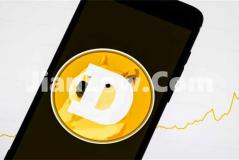 doge币在哪个平台买好(数字货币交易所使用建议)
