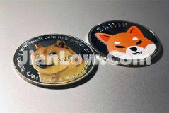 doge币合约怎么找买点(全新数字货币交易所app推出)