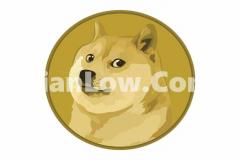 doge币去哪个平台买(数字货币交易所app上线)