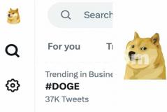 个人怎么购买doge币交易(最实用的数字资产工具)