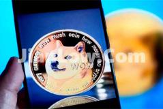 doge币可以在哪个平台买(虚拟币交易平台用户体验评测)