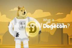 买doge币交易费怎么算(比特币app功能全面分析)
