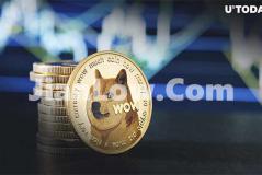 mykey钱包怎样购买doge币(虚拟币交易所app功能对比)