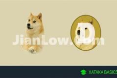 doge币从哪购买的(比特币app用户体验升级)