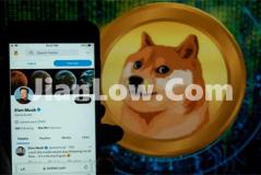 doge币买卖平台叫什么(比特币软件实力大比拼)