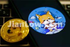 买doge币的平台哪个好(数字币交易客户端小结)