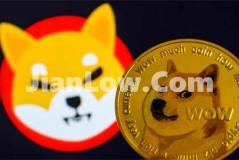doge币在什么平台上买(虚拟币交易所软件如何选择)