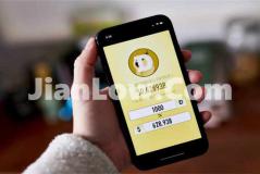 doge币怎么买怎么玩(交易所数字资产交易轻松实现)