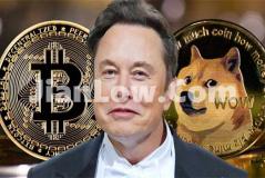 doge币要在什么平台购买(比特币软件交易实用性)