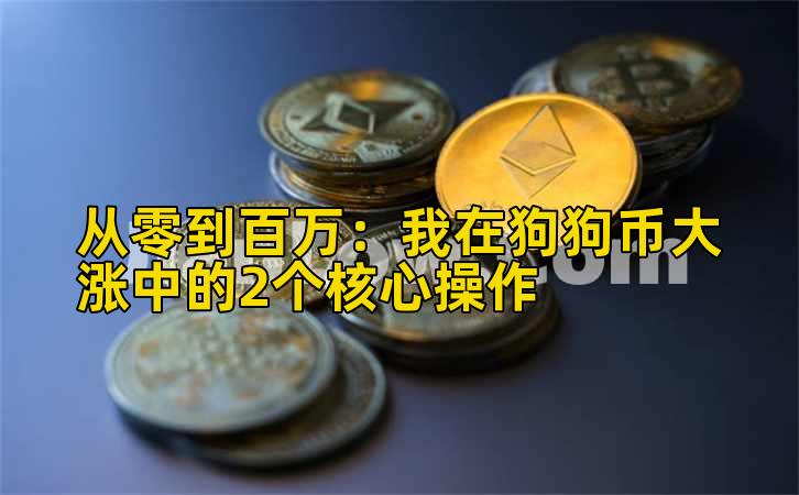 从零到百万：我在狗狗币大涨中的2个核心操作
