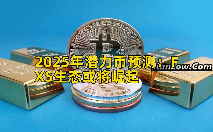 2025年潜力币预测：FXS生态或将崛起