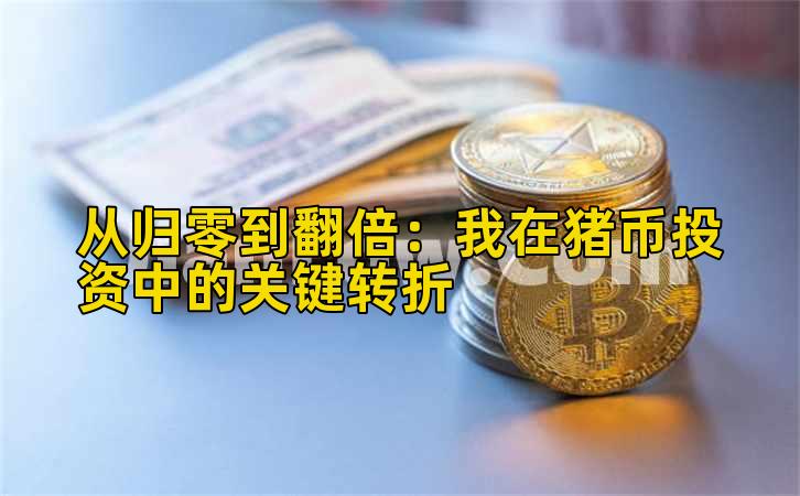 从归零到翻倍：我在猪币投资中的关键转折