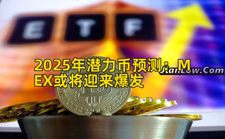 2025年潜力币预测：MEX或将迎来爆发