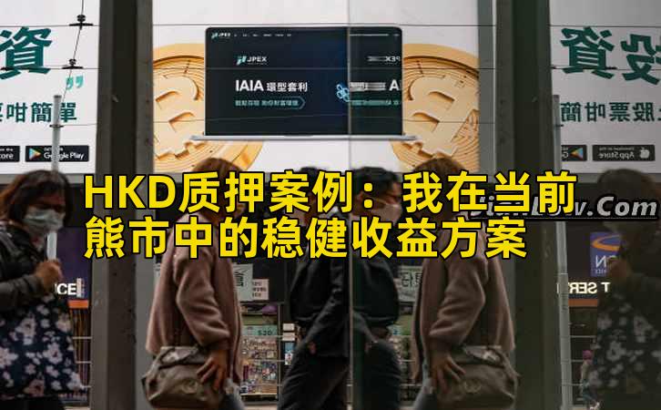 HKD质押案例：我在当前熊市中的稳健收益方案
