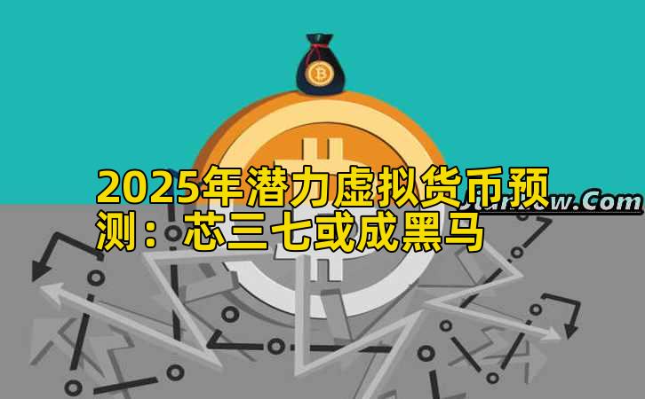 2025年潜力虚拟货币预测：芯三七或成黑马
