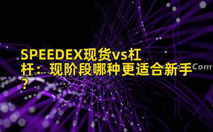 SPEEDEX现货vs杠杆：现阶段哪种更适合新手？