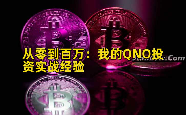 从零到百万：我的QNO投资实战经验
