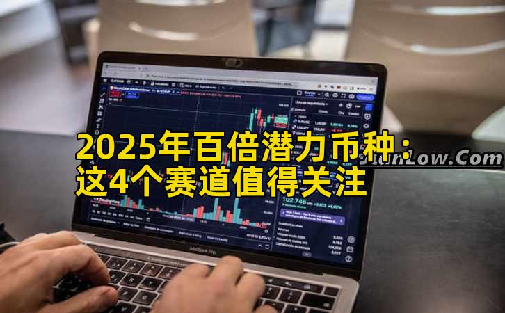 2025年百倍潜力币种：这4个赛道值得关注