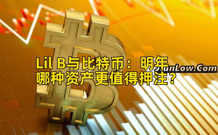 Lil B与比特币：明年哪种资产更值得押注？
