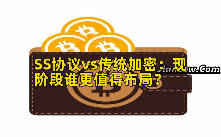SS协议vs传统加密：现阶段谁更值得布局？