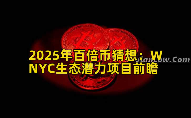 2025年百倍币猜想：WNYC生态潜力项目前瞻