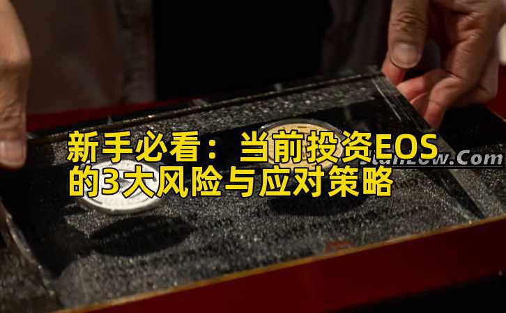 新手必看：当前投资EOS的3大风险与应对策略