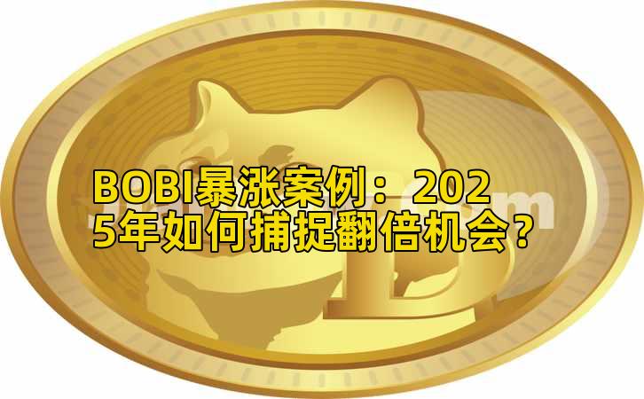 BOBI暴涨案例:2025年如何捕捉翻倍机会?