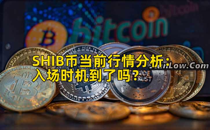 SHIB币当前行情分析：入场时机到了吗？