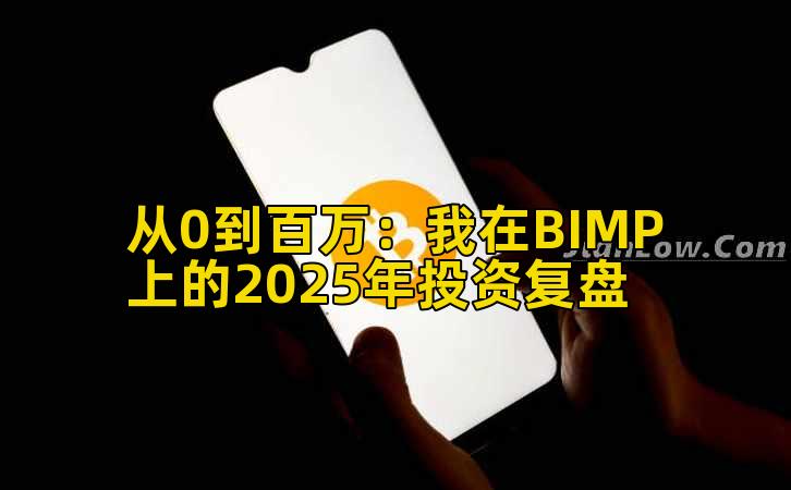 从0到百万：我在BIMP上的2025年投资复盘