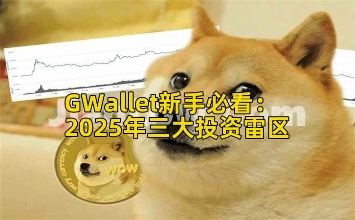 GWallet新手必看:2025年三大投资雷区