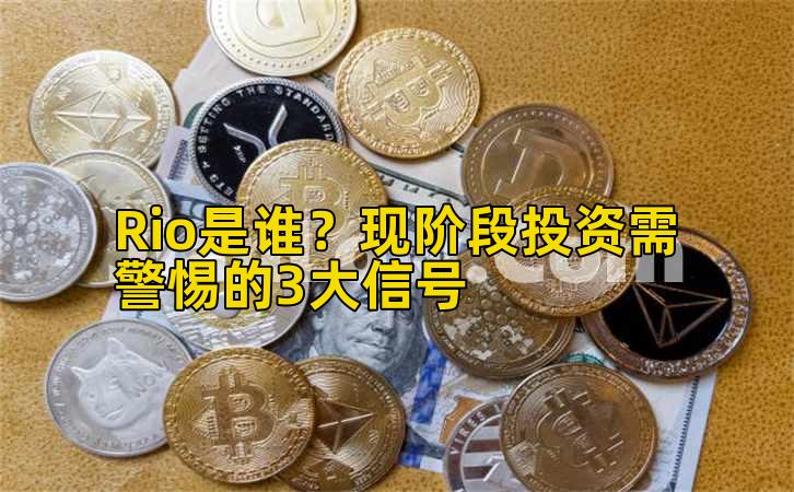 Rio是谁？现阶段投资需警惕的3大信号