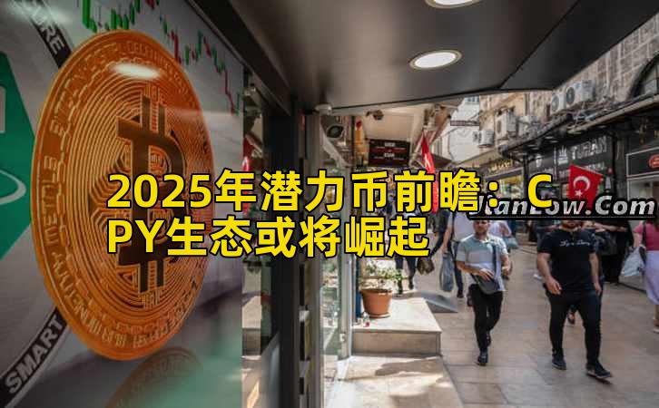 2025年潜力币前瞻：CPY生态或将崛起
