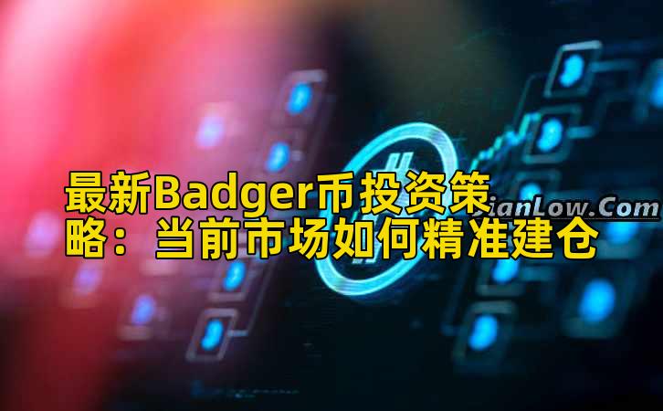 最新Badger币投资策略:当前市场如何精准建仓