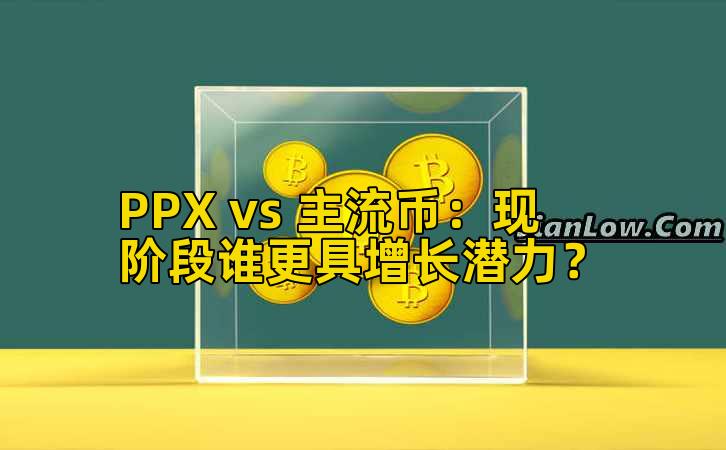 PPX vs 主流币：现阶段谁更具增长潜力？